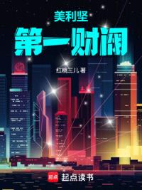 美利坚肆意人生